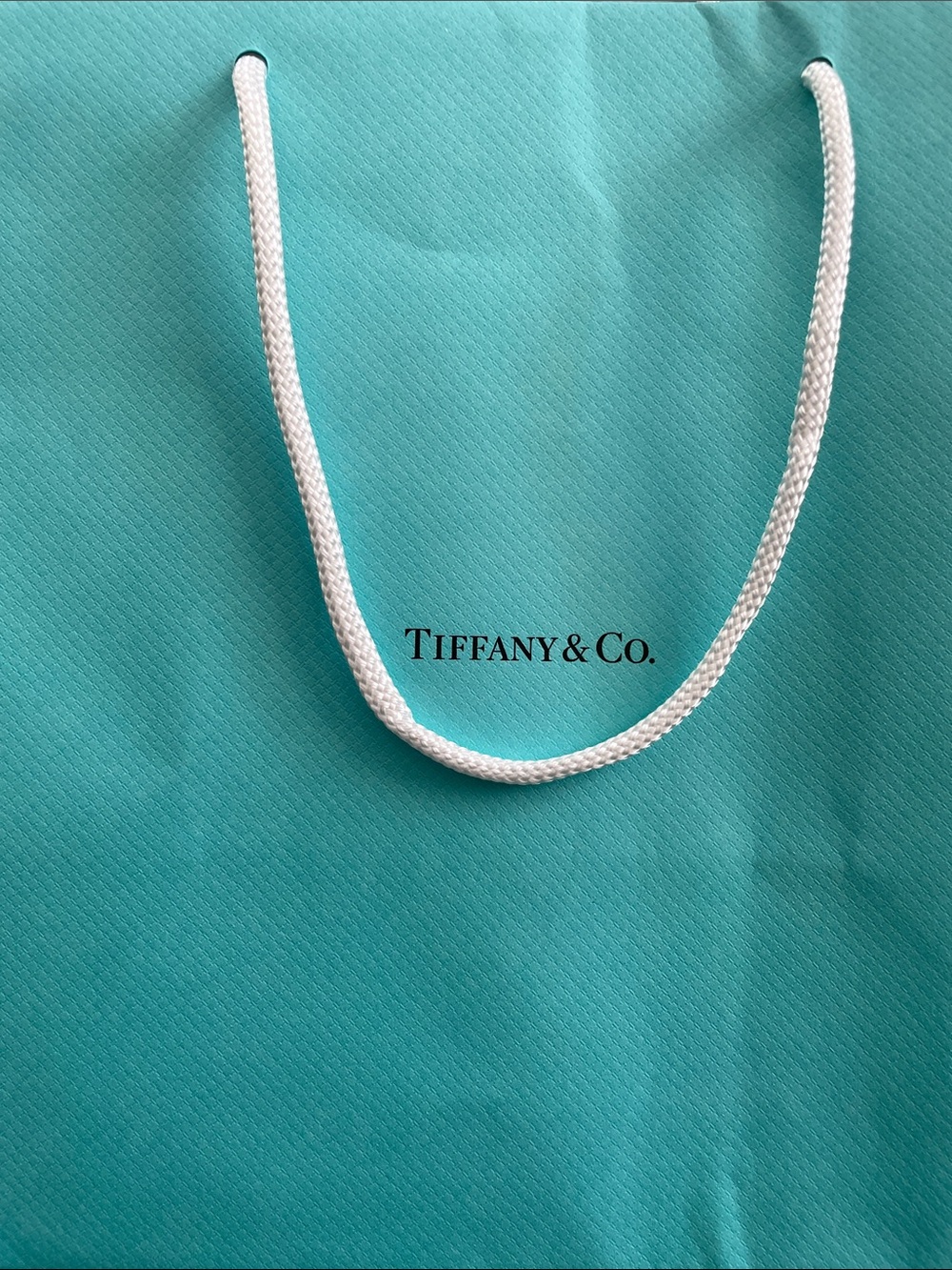 Tiffany & Co. Blue Paper Shopping Bag with White Rope Handles